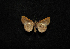  ( - MAL-00432)  @12 [ ] Unspecified (default): All Rights Reserved  Unspecified Unspecified