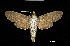  ( - MAL-00434)  @12 [ ] Unspecified (default): All Rights Reserved  Unspecified Unspecified