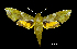  ( - MAL-00436)  @14 [ ] Unspecified (default): All Rights Reserved  Unspecified Unspecified