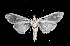  ( - MAL-00452)  @14 [ ] Unspecified (default): All Rights Reserved  Unspecified Unspecified