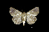  ( - MAL-00454)  @13 [ ] Unspecified (default): All Rights Reserved  Unspecified Unspecified