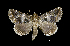  ( - MAL-00457)  @14 [ ] Unspecified (default): All Rights Reserved  Unspecified Unspecified