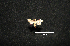  ( - MAL-00462)  @12 [ ] Unspecified (default): All Rights Reserved  Unspecified Unspecified