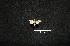  ( - MAL-00462)  @12 [ ] Unspecified (default): All Rights Reserved  Unspecified Unspecified