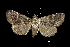  ( - MAL-00469)  @13 [ ] Unspecified (default): All Rights Reserved  Unspecified Unspecified