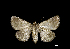  ( - MAL-00471)  @12 [ ] Unspecified (default): All Rights Reserved  Unspecified Unspecified
