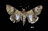  ( - MAL-00487)  @13 [ ] Unspecified (default): All Rights Reserved  Unspecified Unspecified