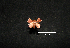  ( - MAL-00524)  @12 [ ] Unspecified (default): All Rights Reserved  Unspecified Unspecified