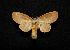  ( - MAL-00531)  @13 [ ] Unspecified (default): All Rights Reserved  Unspecified Unspecified