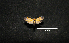  ( - MAL-00544)  @13 [ ] Unspecified (default): All Rights Reserved  Unspecified Unspecified