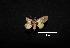 ( - MAL-00547)  @12 [ ] Unspecified (default): All Rights Reserved  Unspecified Unspecified
