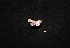  ( - MAL-00549)  @12 [ ] Unspecified (default): All Rights Reserved  Unspecified Unspecified