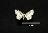  ( - MAL-00561)  @11 [ ] Unspecified (default): All Rights Reserved  Unspecified Unspecified
