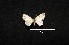  ( - MAL-00561)  @11 [ ] Unspecified (default): All Rights Reserved  Unspecified Unspecified
