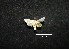  ( - MAL-00756)  @12 [ ] Unspecified (default): All Rights Reserved  Unspecified Unspecified