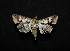  ( - MAL-00761)  @13 [ ] Unspecified (default): All Rights Reserved  Unspecified Unspecified