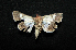  ( - MAL-00761)  @13 [ ] Unspecified (default): All Rights Reserved  Unspecified Unspecified