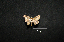  ( - MAL-00772)  @12 [ ] Unspecified (default): All Rights Reserved  Unspecified Unspecified