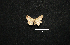  ( - MAL-00772)  @12 [ ] Unspecified (default): All Rights Reserved  Unspecified Unspecified