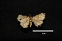  ( - MAL-00774)  @12 [ ] Unspecified (default): All Rights Reserved  Unspecified Unspecified