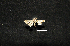  ( - MAL-00811)  @12 [ ] Unspecified (default): All Rights Reserved  Unspecified Unspecified