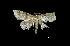  ( - MAL-00826)  @12 [ ] Unspecified (default): All Rights Reserved  Unspecified Unspecified