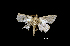  ( - MAL-00826)  @12 [ ] Unspecified (default): All Rights Reserved  Unspecified Unspecified