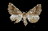  ( - MAL-00830)  @13 [ ] Unspecified (default): All Rights Reserved  Unspecified Unspecified