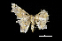  ( - MAL-00835)  @12 [ ] Unspecified (default): All Rights Reserved  Unspecified Unspecified