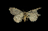  ( - MAL-00846)  @12 [ ] Unspecified (default): All Rights Reserved  Unspecified Unspecified