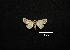 (Metria endopolia - MAL-00863)  @13 [ ] Unspecified (default): All Rights Reserved  Unspecified Unspecified