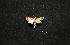  ( - MAL-00869)  @12 [ ] Unspecified (default): All Rights Reserved  Unspecified Unspecified