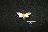  ( - MAL-00869)  @12 [ ] Unspecified (default): All Rights Reserved  Unspecified Unspecified