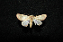  ( - MAL-00870)  @12 [ ] Unspecified (default): All Rights Reserved  Unspecified Unspecified
