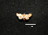  ( - MAL-00874)  @12 [ ] Unspecified (default): All Rights Reserved  Unspecified Unspecified