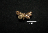  ( - MAL-00882)  @12 [ ] Unspecified (default): All Rights Reserved  Unspecified Unspecified