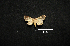  ( - MAL-00882)  @12 [ ] Unspecified (default): All Rights Reserved  Unspecified Unspecified