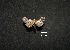  ( - MAL-00886)  @12 [ ] Unspecified (default): All Rights Reserved  Unspecified Unspecified