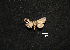  ( - MAL-00886)  @12 [ ] Unspecified (default): All Rights Reserved  Unspecified Unspecified