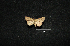  ( - MAL-00895)  @12 [ ] Unspecified (default): All Rights Reserved  Unspecified Unspecified