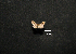  ( - MAL-00980)  @12 [ ] Unspecified (default): All Rights Reserved  Unspecified Unspecified