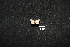  ( - MAL-00980)  @12 [ ] Unspecified (default): All Rights Reserved  Unspecified Unspecified
