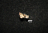  ( - MAL-00985)  @12 [ ] Unspecified (default): All Rights Reserved  Unspecified Unspecified