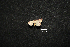  ( - MAL-00985)  @12 [ ] Unspecified (default): All Rights Reserved  Unspecified Unspecified