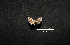  ( - MAL-00987)  @12 [ ] Unspecified (default): All Rights Reserved  Unspecified Unspecified