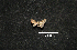  ( - MAL-00987)  @12 [ ] Unspecified (default): All Rights Reserved  Unspecified Unspecified