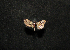  ( - MAL-01015)  @12 [ ] Unspecified (default): All Rights Reserved  Unspecified Unspecified