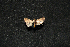  ( - MAL-01015)  @12 [ ] Unspecified (default): All Rights Reserved  Unspecified Unspecified
