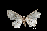  ( - MAL-01080)  @12 [ ] Unspecified (default): All Rights Reserved  Unspecified Unspecified