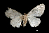  ( - MAL-01080)  @12 [ ] Unspecified (default): All Rights Reserved  Unspecified Unspecified